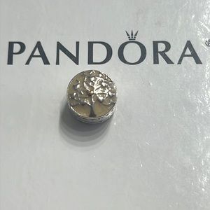 Pandora charm
